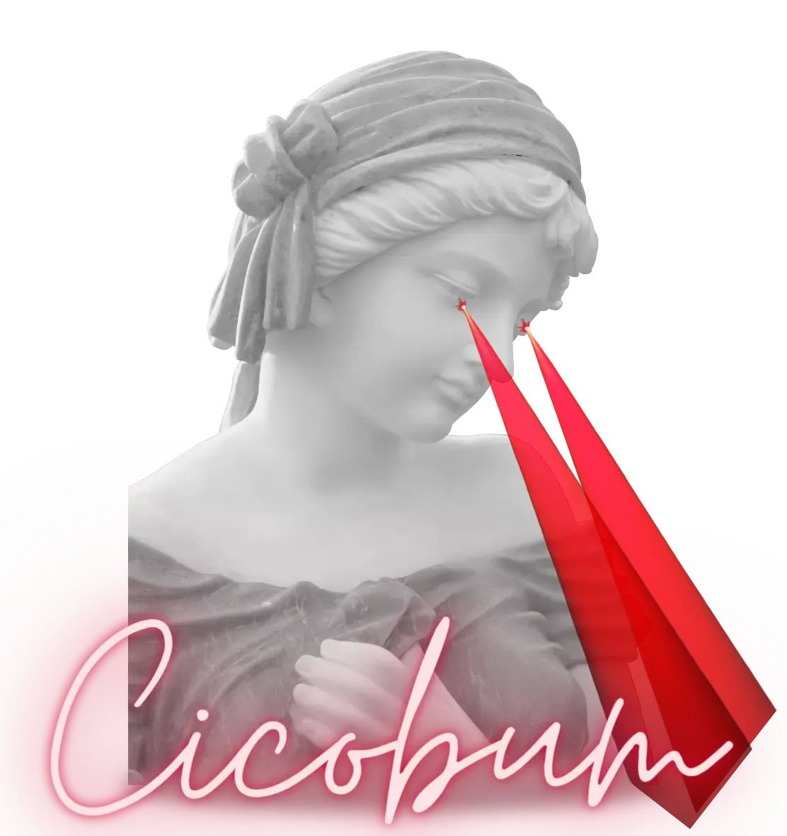 servicii de optimizare seo pentru motoarele de cautare