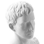 web design unicat cu grafica personalizata